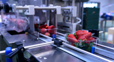 Automatización en la industria alimentaria